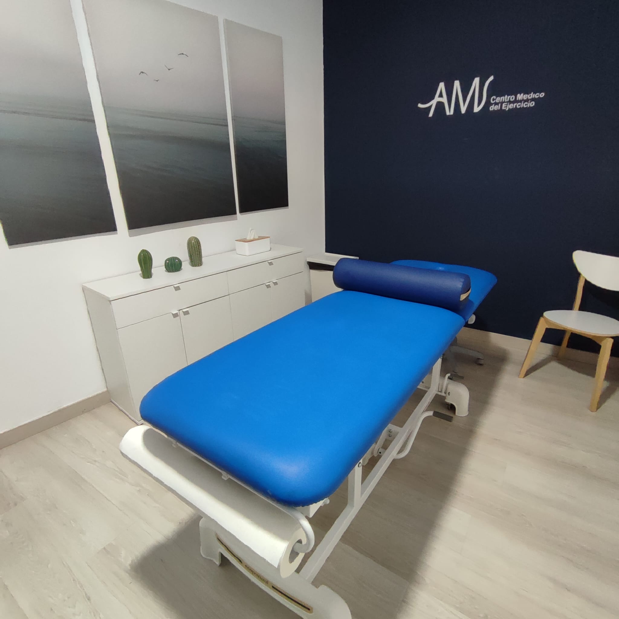 Sala privada de fisioterapia Marbella en AMS Centro Medico del Ejercicio para en tratamiento individualizado de los pacientes.
